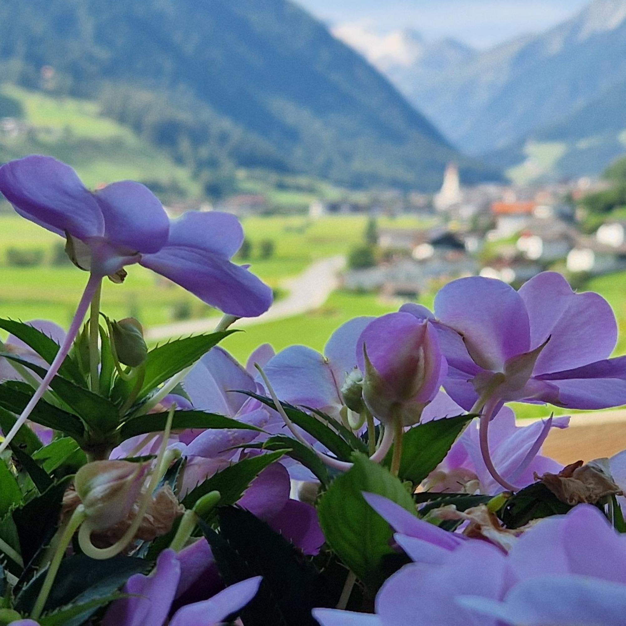 Klein&Fein Appartement Neustift im Stubaital Buitenkant foto